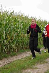Taleines 2008-043
